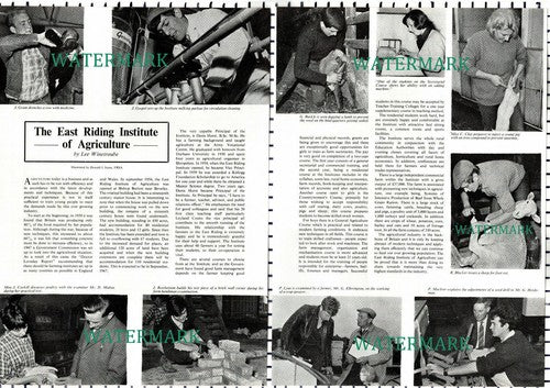 (44) The East Riding Institute of Agriculture Cockill Maltas Lyus - 1966 Article