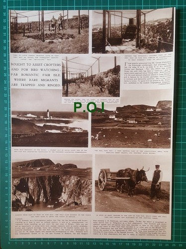 (X145) Fair Isle Mr George Waterston Ornithologist Bird Watching - 1948 Clip