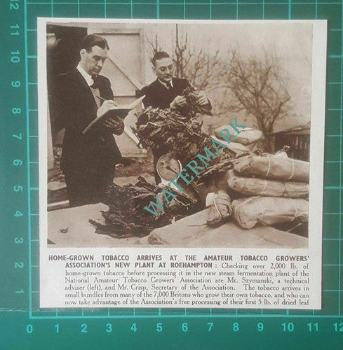 C2819) National Amateur Tobacco Growers Mr Szymanski Mr Crisp - 1951 Clip