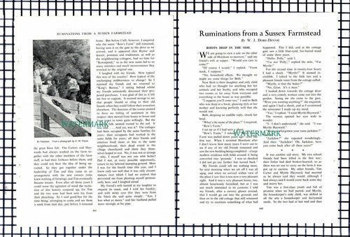 (7046) W J Dore Dennis Rew's Farm Sussex Myrtle Hayward - 1950s Article