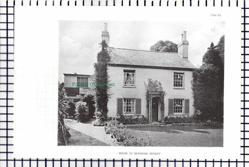 (6919) The Elms Epsom / Horsham Freeman Undertakers Print / Cutting