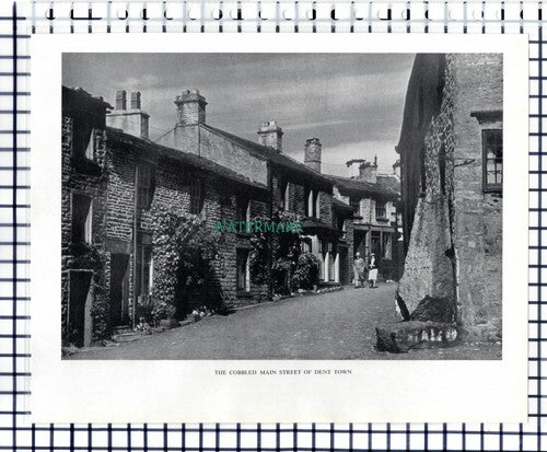 Dent Cumbria - 1951 Cutting / Print
