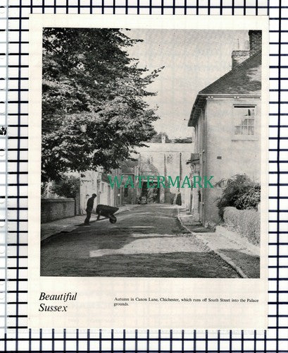 (8369) Canon Lane Chichester Sussex - 1967 Cutting