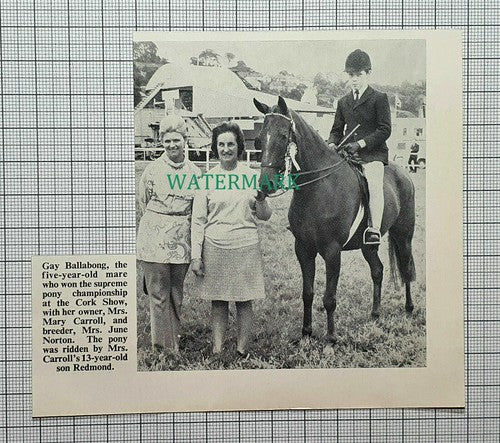 (C347) Mary Carroll June Norton Redmond Gay Ballabong Cork Horse Show - 1971