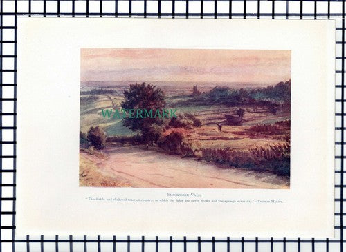 C6913) Blackmore Vale - 1911 Book Print
