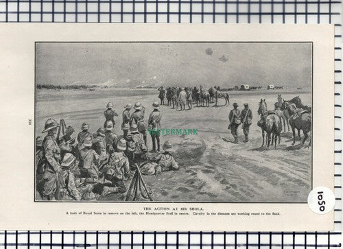 Royal Scots At Bir Shola Headquarter Staff World War One WW1 -1916 Cutting