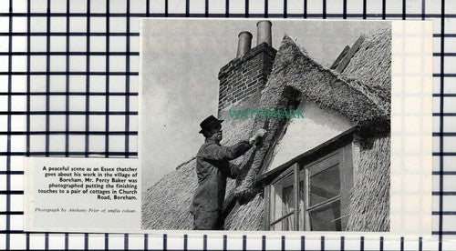 C7352) Church Road Boreham Essex Mr Percy Baker Thatcher - 1967 Cutting