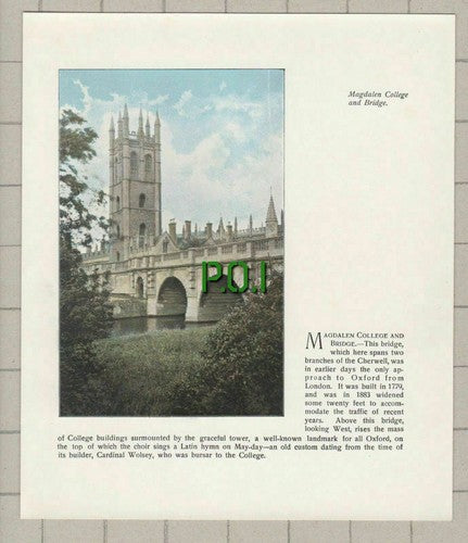 Magdalen College Oxford - c.1900 Cutting / Print