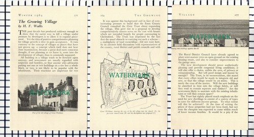 (7283) Great Waltham Village - 1964 Small Page Article