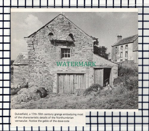 C6929) Dukesfield Northumberland - 1969 Cutting