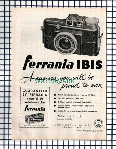 (7116) PAPER ITEM!! Ferrannia Ibis Camera ADVERT - 1953 CUTTING