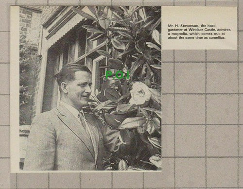 C2177) Mr H Stevenson Windsor Castle Head Gardener - 1972 Clip