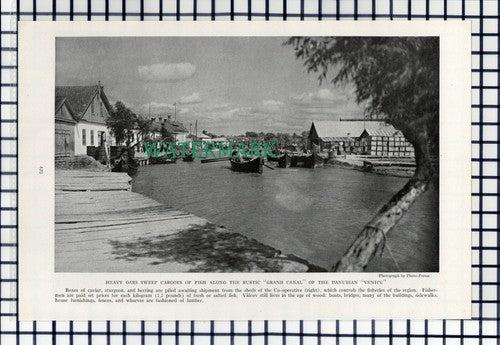 (8076) Valcov Danube - 1940 Book Print