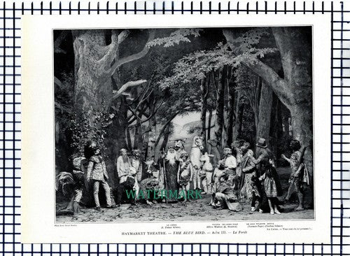 X1575) Haymarket Theatre J Fisher White Olive Walter Norman Page - 1910 Cutting