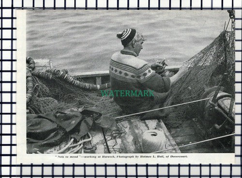 C6634) Harwich Essex Fisherman - 1962 Cutting