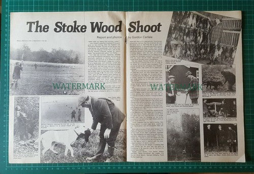 X1869) The Stoke Wood Shoot John Parker Rodney Rowell - 1982 Article