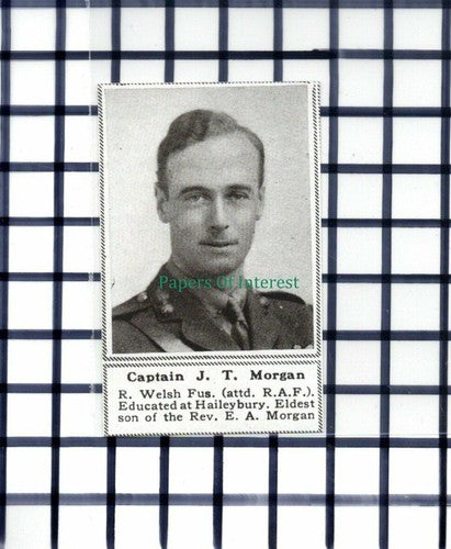 C5878) Captain J T Morgan R Welsh Fusiliers Rev EA Morgan - 1919 Cutting SMALL!