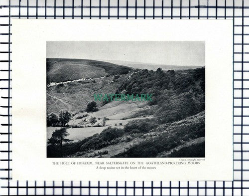 Hole Of Horcum Saltersgate / Goathland Yorkshire - c.1948 Cutting