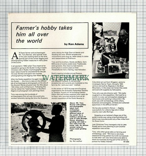 (8484) Mr Tony Bonner Threshelfords Farm Feering Essex - 1977 Cutting