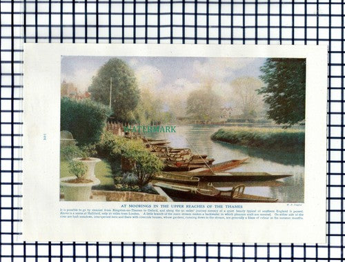 (7044) Halliford Near London River Thames - c.1950s Cutting / Print