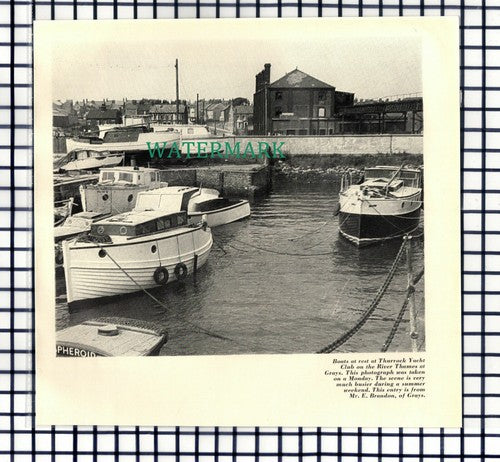 Thurrock Yacht Club Grays Essex - 1964 Cutting / Print