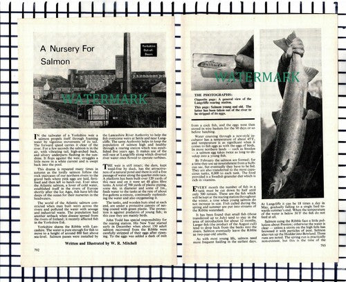 (7620) Langcliffe Salmon Nursery - 1969 Article