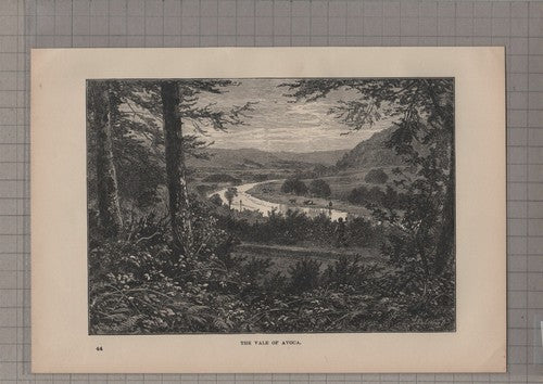 (6320) The Vale Of Avoca - 1895 Antique Book Print