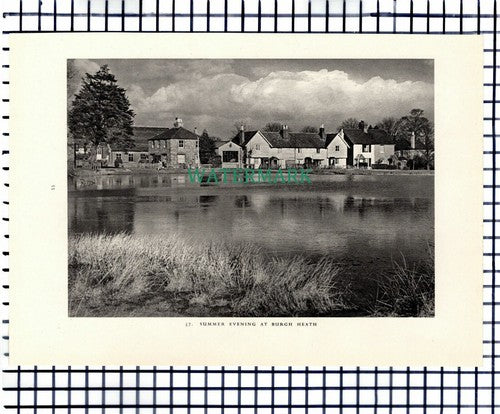 (7446) Burgh Heath Surrey - 1949 Print / Cutting