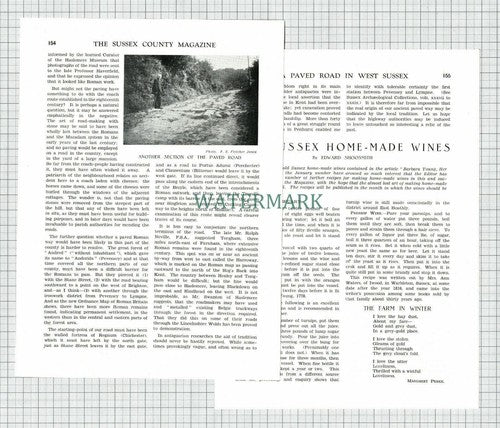 (8665) Henley Sussex - 1930 Article