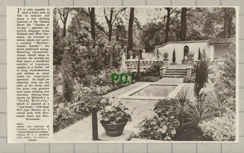 (5257) Mediterranean Garden F J Seymour & Sons Ewell Surrey - 1961 Clip