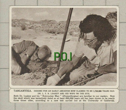 Dr L S B Leakey Archaeologist Tanganyika Africa - 1961 Small News Clipping