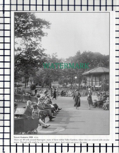 C7249) Valley Gardens Harrogate - Cutting