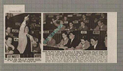 (5541) Melbourne Wool Auctions Bert Wright Australia Sheep - 1950 Clip