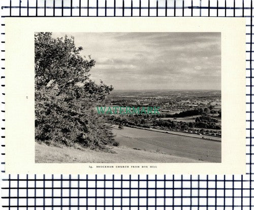 (7466) Box Hill Ranmore Common Surrey / Brockham - 1949 Print / Cutting