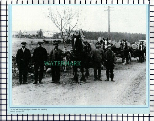 (7396) Invernesshire Timber Workers Cart Horses - Cutting
