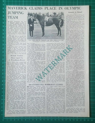 (X397) David Tatlow Horse Lady Teller Mrs Samwell British Timken Show - 1968
