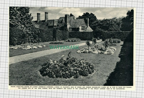 C2319) Wisley Gardens Laboratory - 1949 Cutting