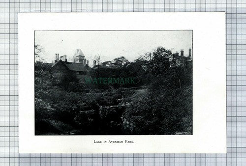 C7197) PRESTON Avenham Park - 1902 Book Print