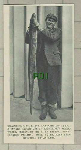 (C652) Mr C Le Breton St Catherine's Breakwater Jersey Conger - 1951