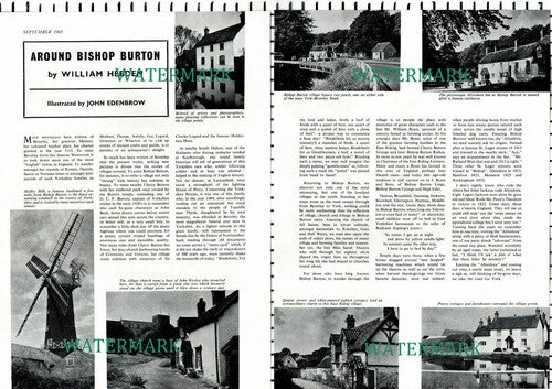 (8019) Bishop Burton Altisidora Inn - 1965 Article