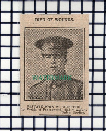 C7136) Private John W Griffiths 1st Welsh Pontygwaith - 1916 Small Cutting