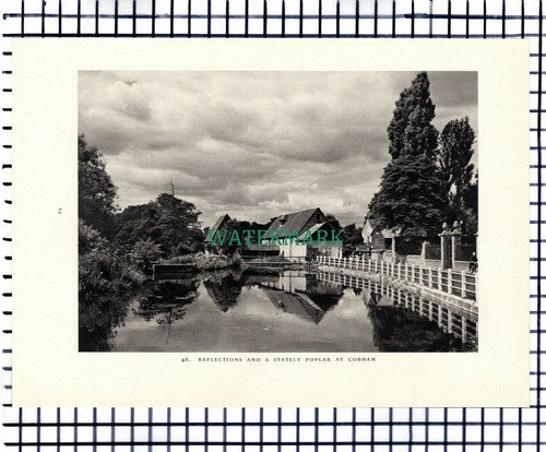 (7464) Kingston Bridge Surrey / Cobham - 1949 Print / Cutting