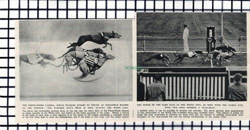 C6201) Greyhound Racing White City - 1945 Cutting