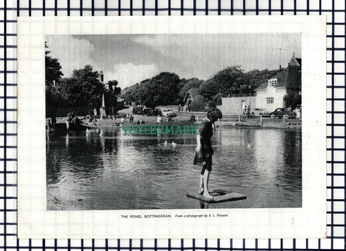 (8471) The Pond Rottingdean Sussex - 1955 Cutting