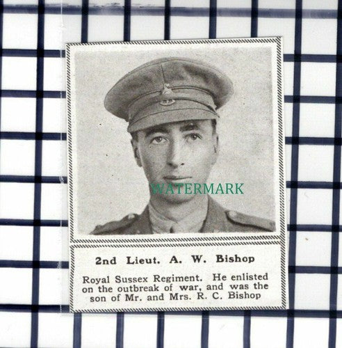 C6632) 2nd Lt A W Bishop Royal Sussex Reg World War One WW1 - 1918 SMALL Cutting