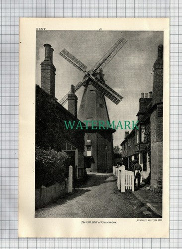 (6570) Cranbrook Mill - c.1945 Cutting