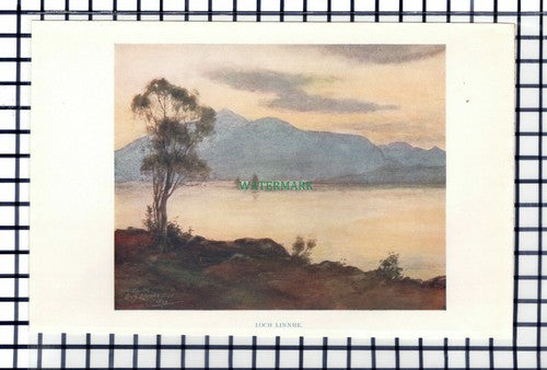 C6453) Loch Linnhe Scotland - c.1920s Small Print