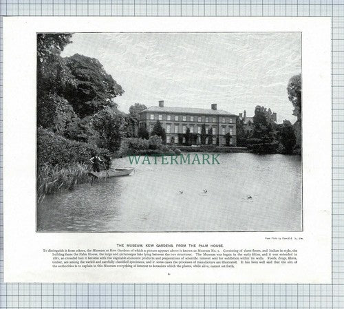 X1898) Dorchester House Kew Gardens Museum - c.1900 Book Print
