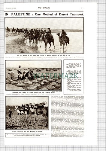 CAMEL Corps Patrol F Finn World War One WW1 - 1918 Article