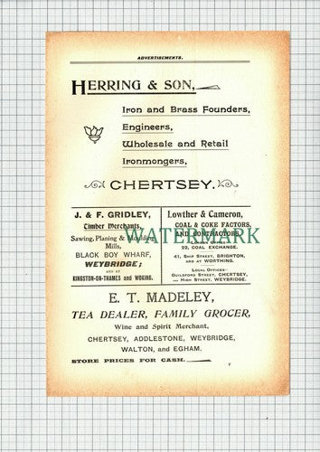 C7592) Herring & Son Chertsey E T Madeley J & F Gridley Advert - 1900 Cutting